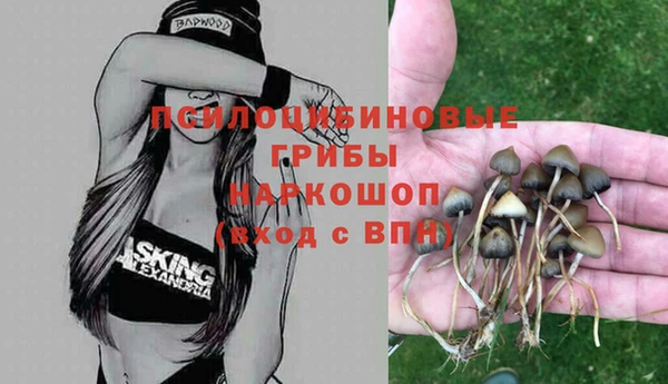 Альфа ПВП Вяземский