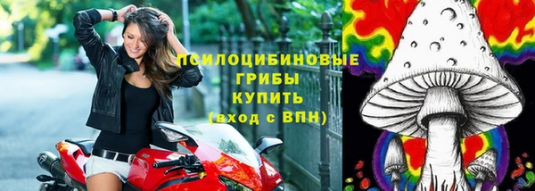 Альфа ПВП Вяземский